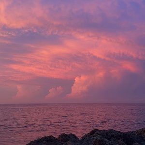 Meet your Posher, Damaris